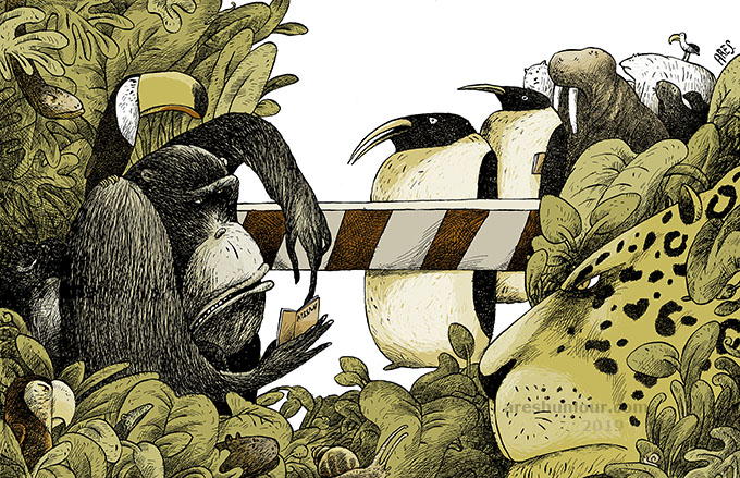 Primer Premio, Caricatunis, Egipto 2022.